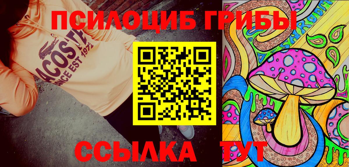 Псилоцибиновые грибы GOLDEN TEACHER Балтийск
