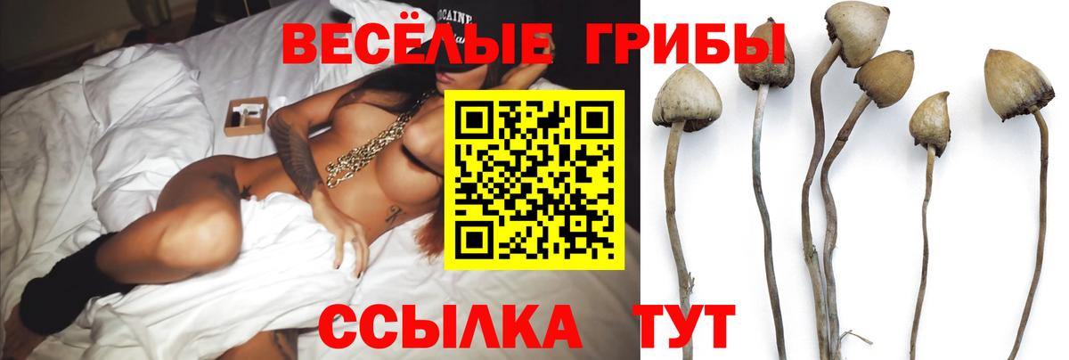 Балтийск  Галлюциногенные грибы Magic Shrooms  Вход с VPN  Галлюциногенные грибы Psilocybine cubensis 