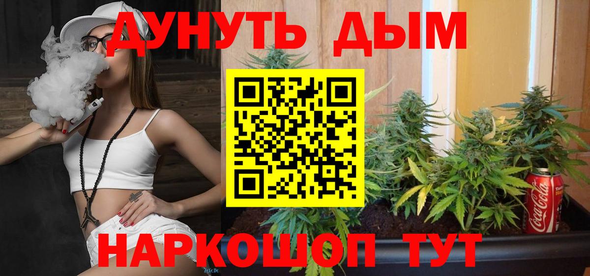 Марихуана ГИДРОПОН  Шишки марихуана планчик  Каннабис MAZAR  Балтийск  Каннабис марихуана 